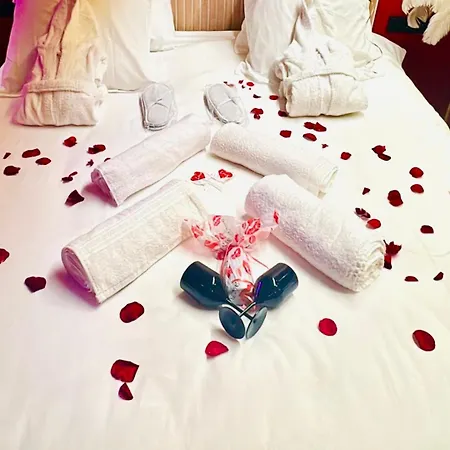 Jacuzzi & Sauna Privatifs - - Or Norme By Le Douze Love hotel